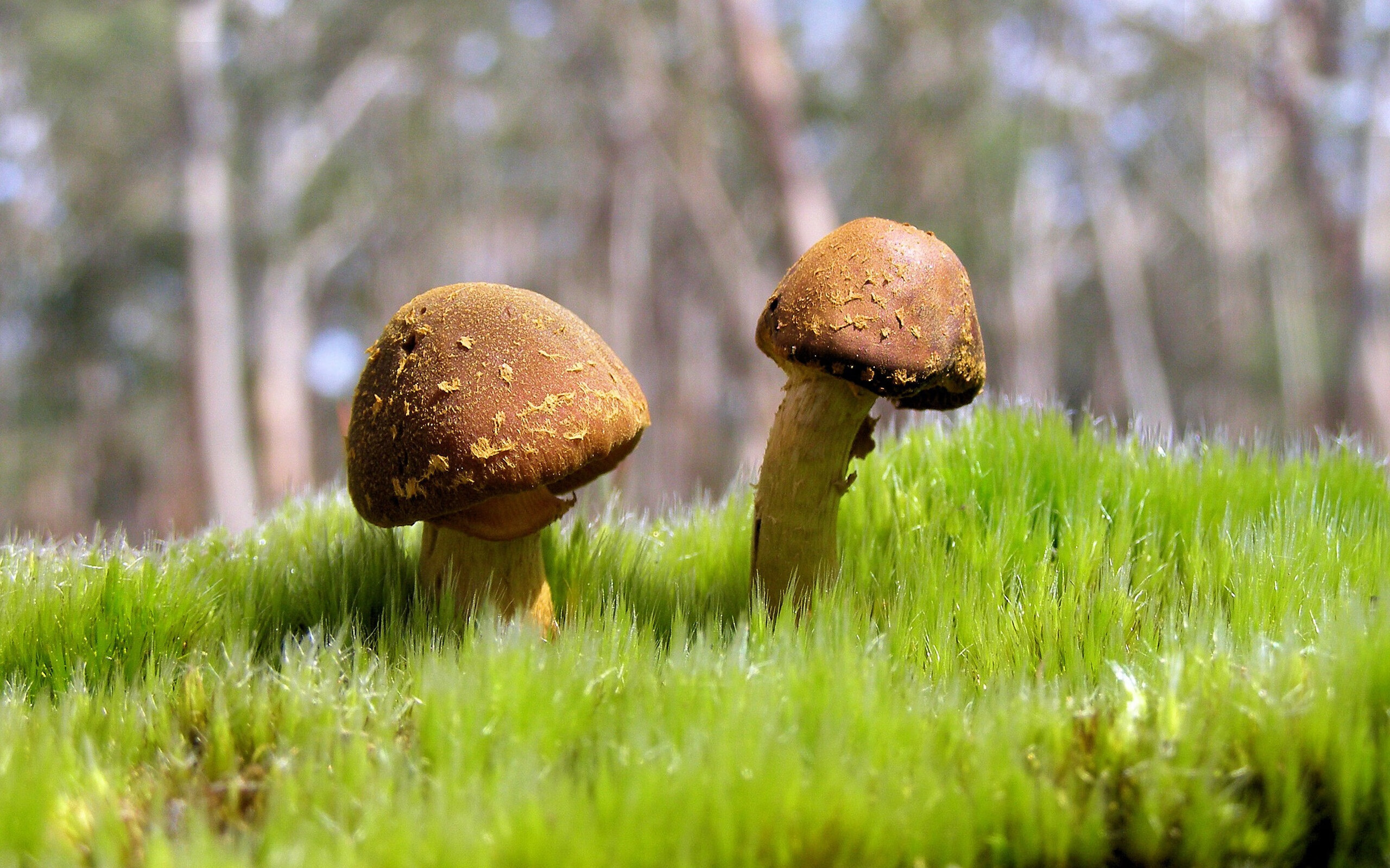 爱游戏娱乐平台-“青训合作联盟正式成立，推动职业和青训共同发展”，青训联赛