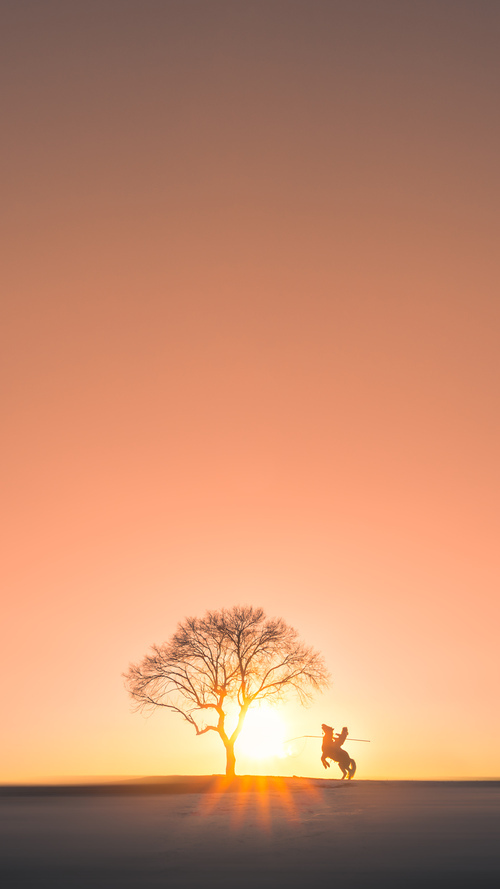 王者荣耀 赛事运营升级助力发展，王者荣耀赛事战令