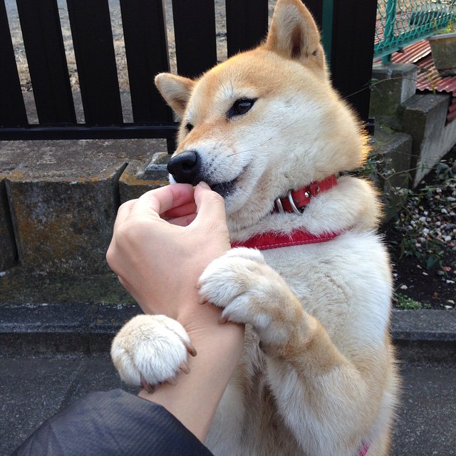 赛场上最“技艺精湛”的突破大比拼