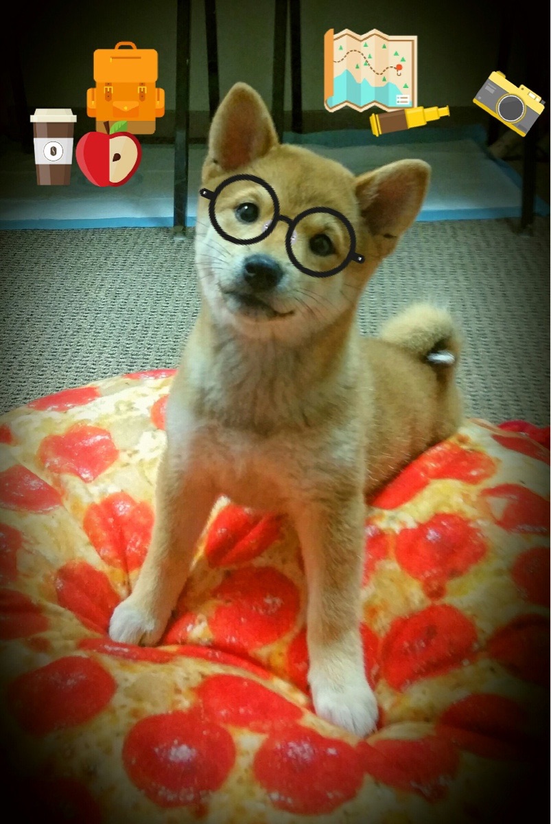 逆境奋战:球队在危机中崛起的故事,逆境崛起的口号