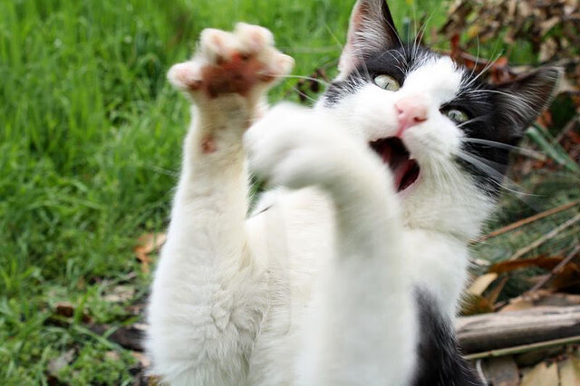 逆境奋战:球队在危机中崛起的故事,逆境崛起的口号