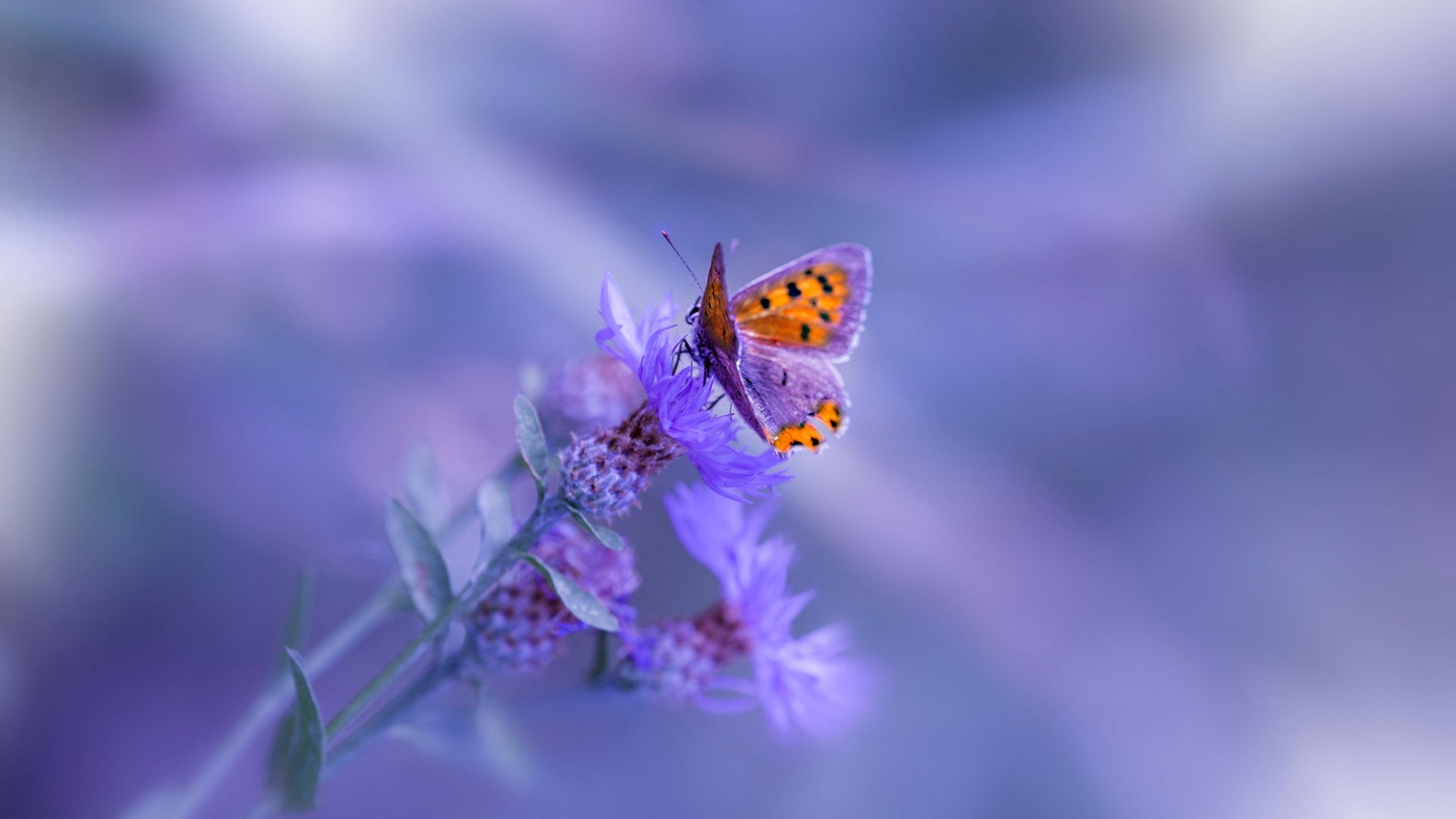 壯觀觀眾席,場外氛圍熱烈,賽事高潮迭起,形容观赛现场观众的词语