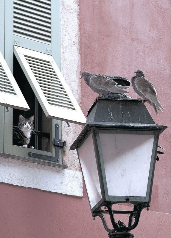 备战即将开启,女足比赛球队训练出色,女足队伍