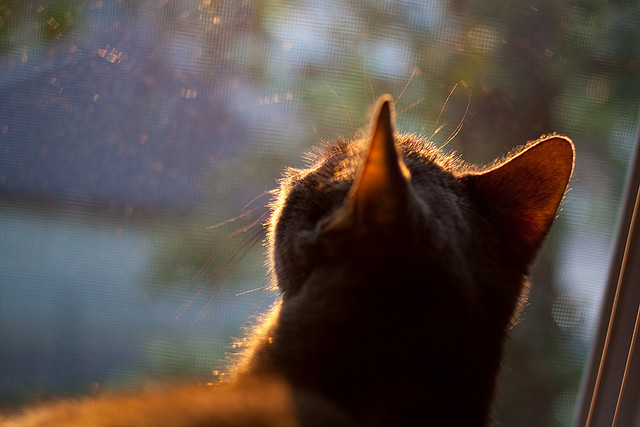 爱游戏-广东宏远本土球员成长迅速，广东宏远2020年球员资料