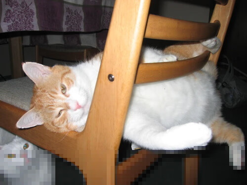 皇马欲敲定重磅交易,球队实力提升,皇马足球