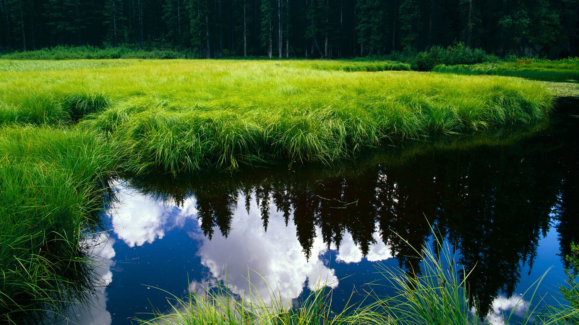 爱游戏娱乐-皇马点球大战淘汰曼城，晋级欧冠四强，皇马 点球