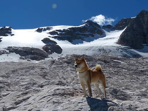 爱游戏体育app-雷恩是否具备后程发力的战术储备，雷恩是谁