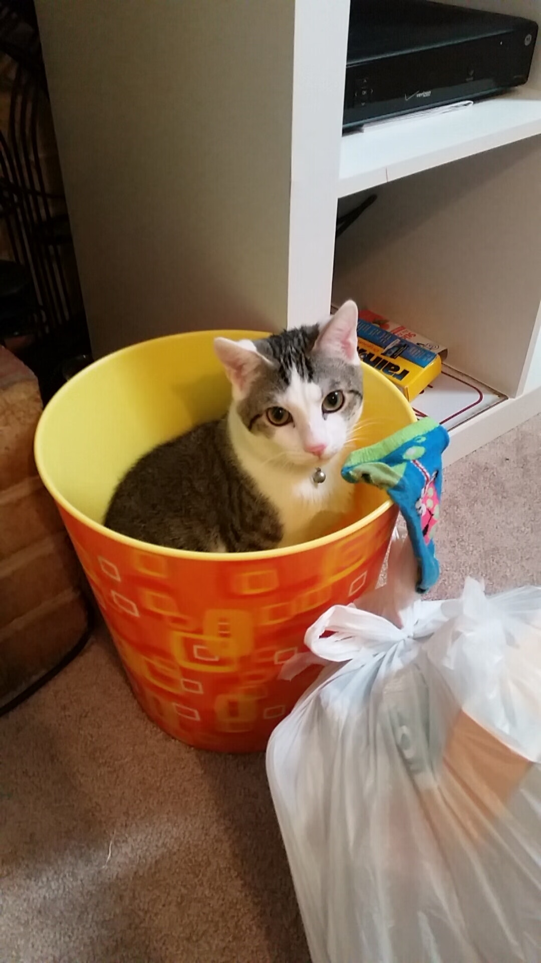 霍芬海姆球队在比赛中展现出色的进攻体系，取得胜利，霍芬海姆球衣是哪个运动品牌