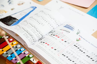 爱游戏在线登录入口-中小学体育教师继续教育体系建设与实施研究，小学体育继续教育考试试题及答案