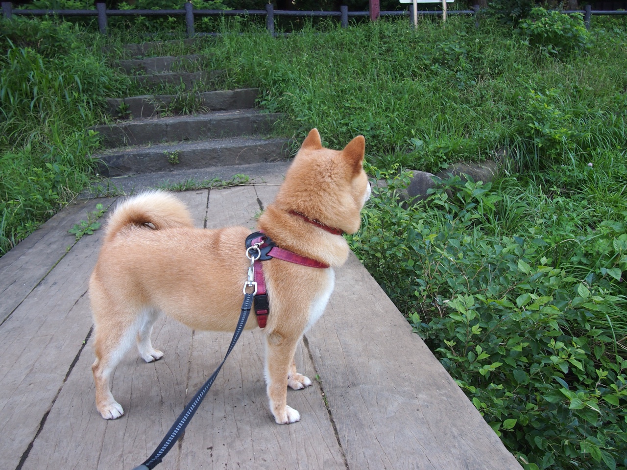 爱游戏中国官方登录入口网站-2024年埃及队表现：混合团体世界杯赛场的拼搏与成长，埃及2022世界杯