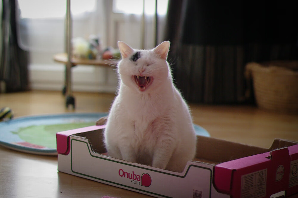 中国女篮控球稳定性持续提升,中国篮球女篮