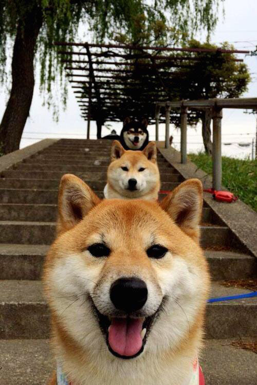 爱游戏体育app-重赛与变阵对冲击争冠降级局势反转走向分析，重赛依然