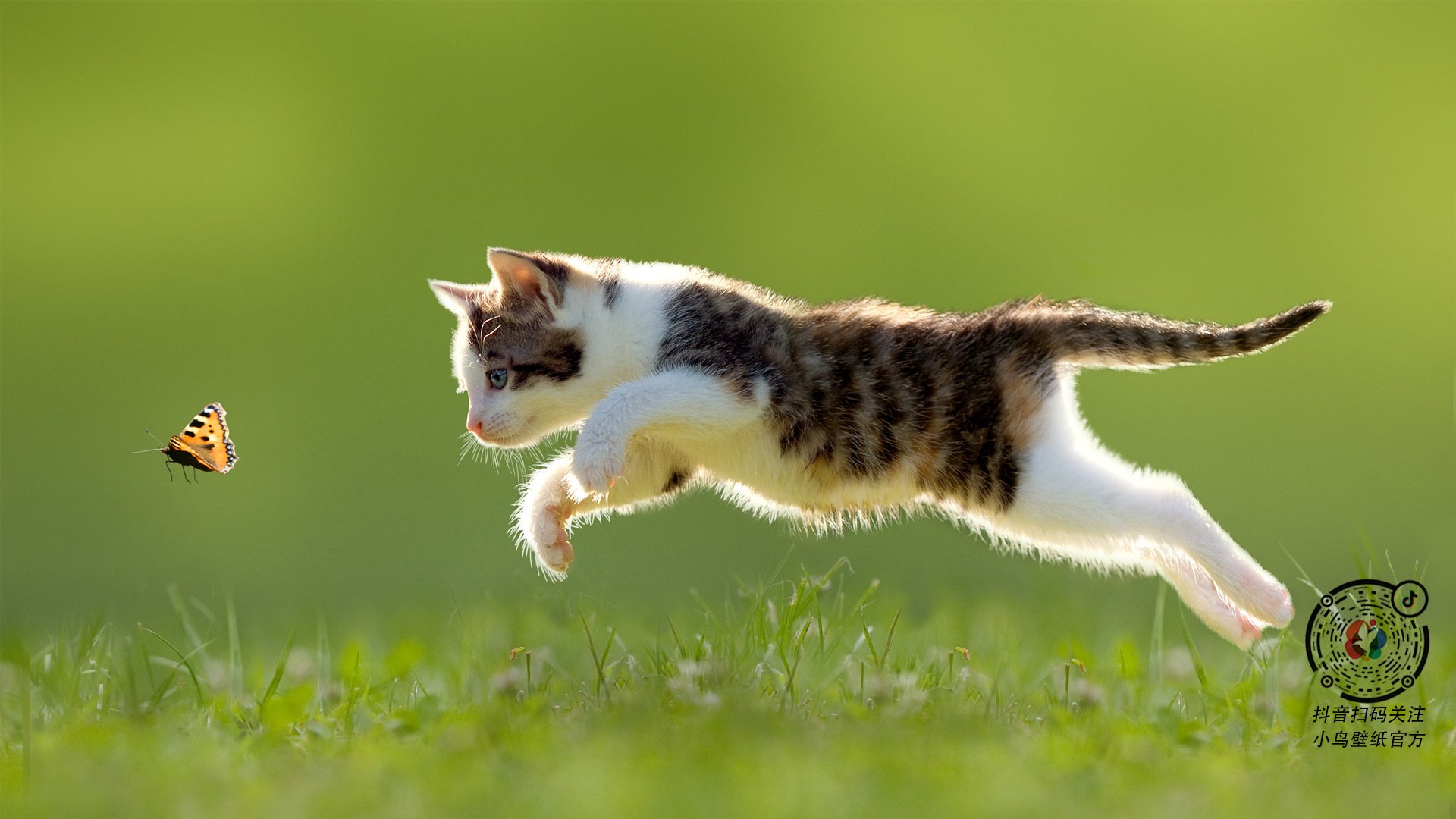 女子足球联赛后防线表现稳定提升,女子足球球门