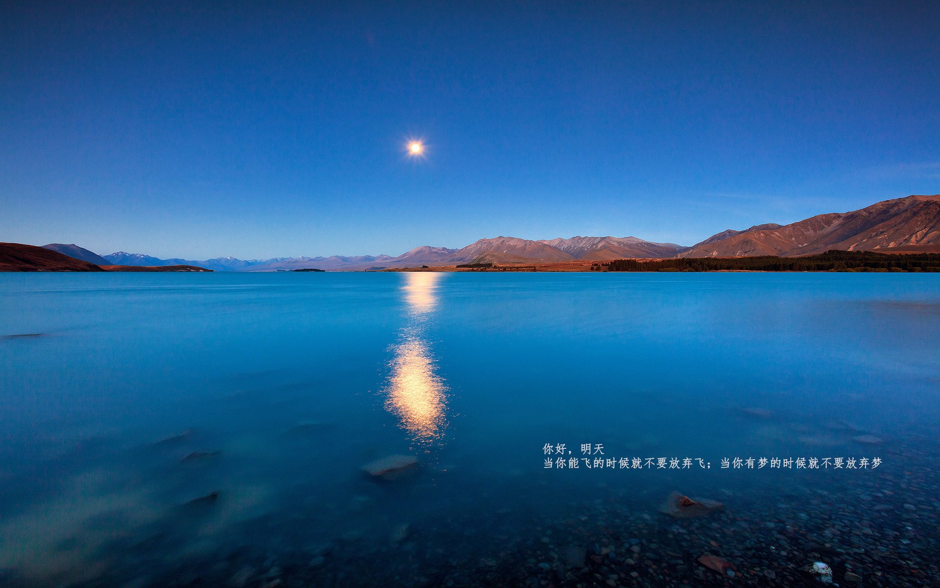 张雨霏混合泳泳姿优美,张雨霏游泳项目